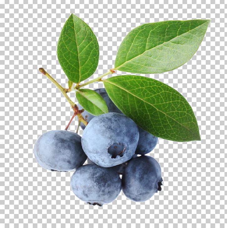 Blueberry Bilberry Stock Photography Fruit PNG, Clipart, Aristotelia Chilensis, Berry, Bilberry, Blueberries, Blueberry Free PNG Download