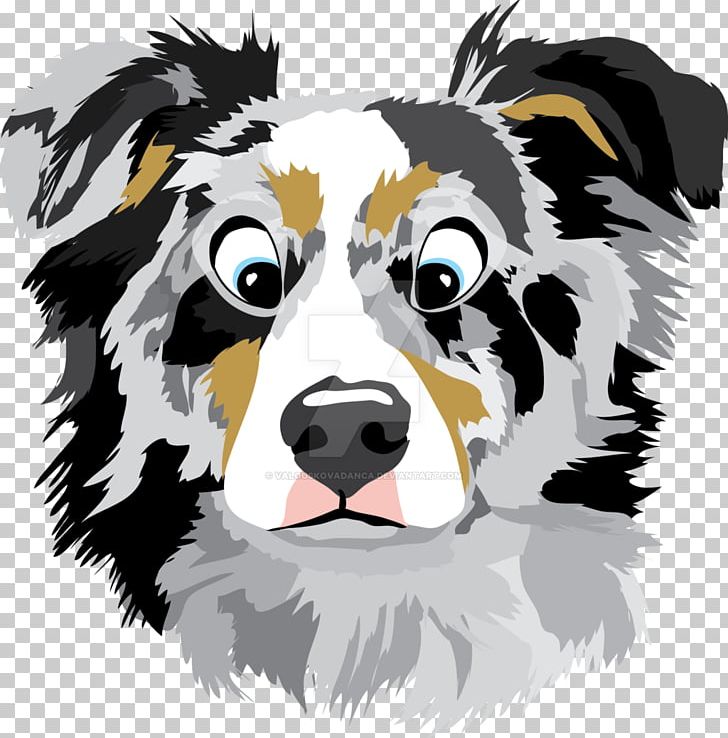 Border Collie Australian Shepherd Bernese Mountain Dog Puppy Rough Collie PNG, Clipart, Animal, Animals, Australian Shepherd, Bernese Mountain Dog, Border Collie Free PNG Download