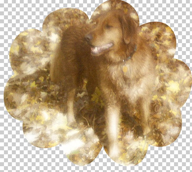 Dog Breed Puppy Sporting Group Snout PNG, Clipart, Animals, Breed, Carnivoran, Crossbreed, Dog Free PNG Download