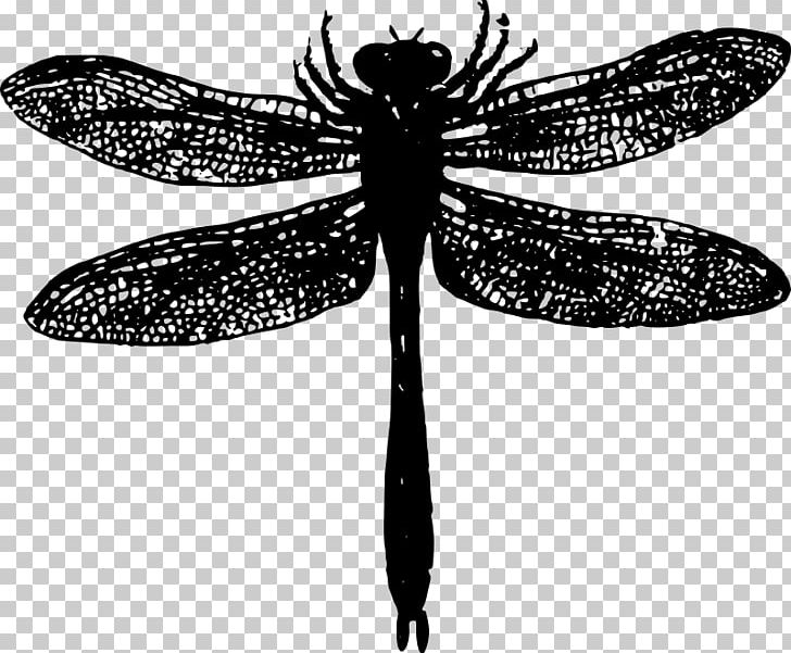 Insect Dragonfly PNG, Clipart, Animals, Arthropod, Basic, Black And White, Butterfly Free PNG Download