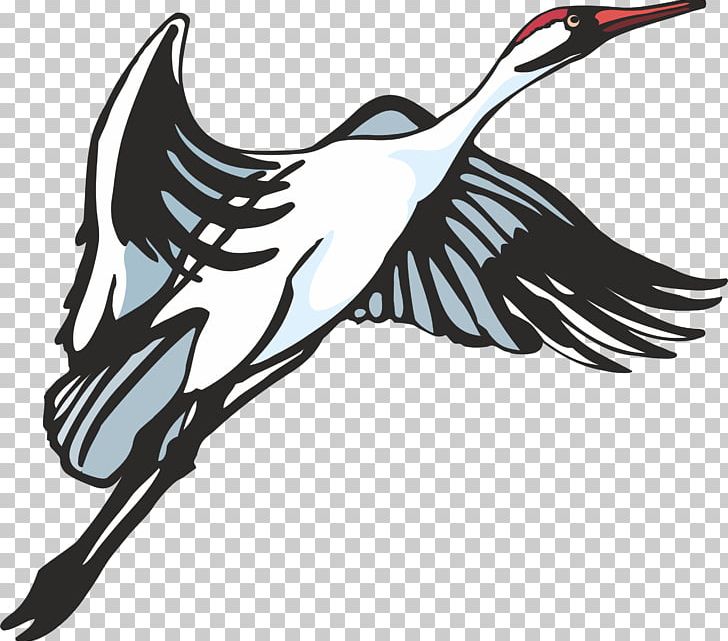 Mallard PNG, Clipart, Animals, Beak, Bird, Black And White, Computer Icons Free PNG Download