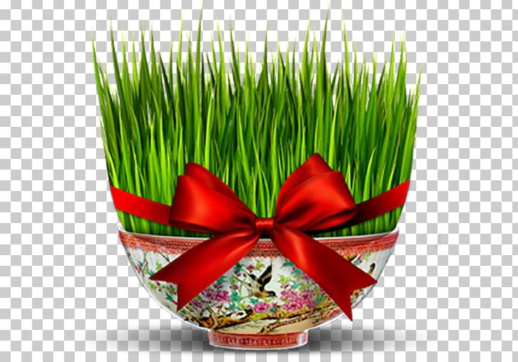 Nowruz Iran New Year Holiday Greetings PNG, Clipart, Farsi, Flowerpot, Grass, Grass Family, Holiday Free PNG Download