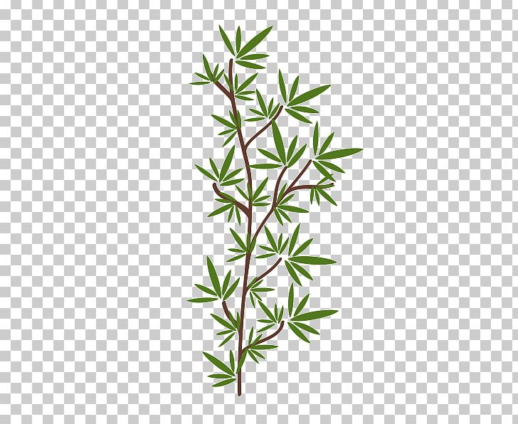 Spa Element PNG, Clipart, Branch, Computer Icons, Download, Element, Grass Free PNG Download