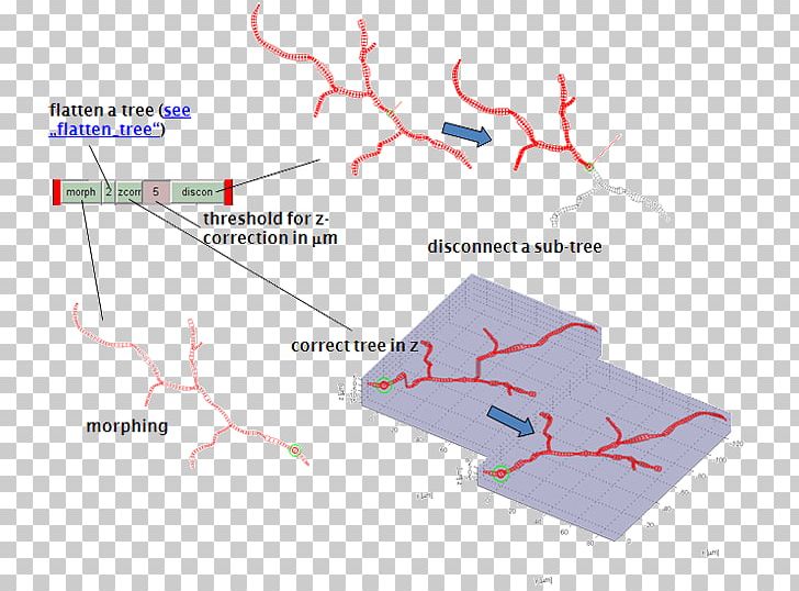 Tree Angle Point PNG, Clipart, Angle, Area, Dendrogram, Diagram, Line Free PNG Download