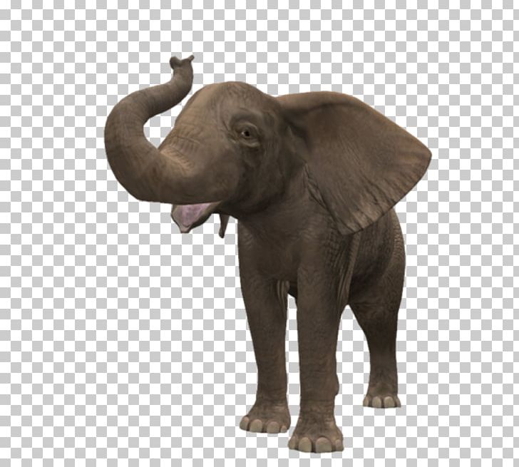 African Bush Elephant Deinotheriidae PNG, Clipart, African Elephant, African Forest Elephant, Animals, Cattle Like Mammal, Computer Icons Free PNG Download