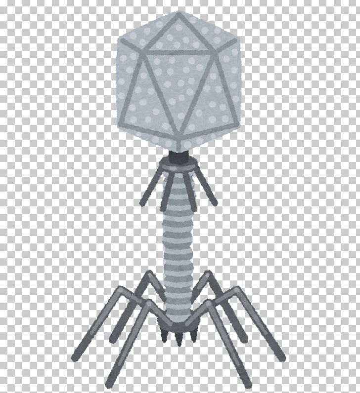Bacteriophage いらすとや Bacteria バーチャルYouTuber PNG, Clipart, Angle, Animal, Bacteria, Bacteriocin, Bacteriophage Free PNG Download