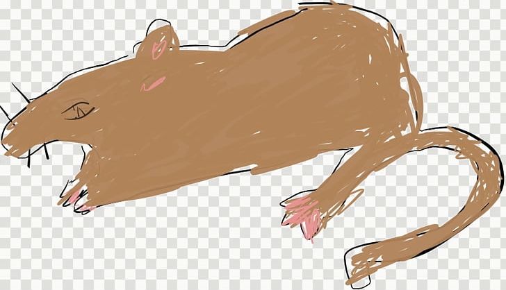 Brown Rat Mouse Black Rat Gerbil PNG, Clipart, Beaver, Big Cats, Black Rat, Blog, Brown Rat Free PNG Download