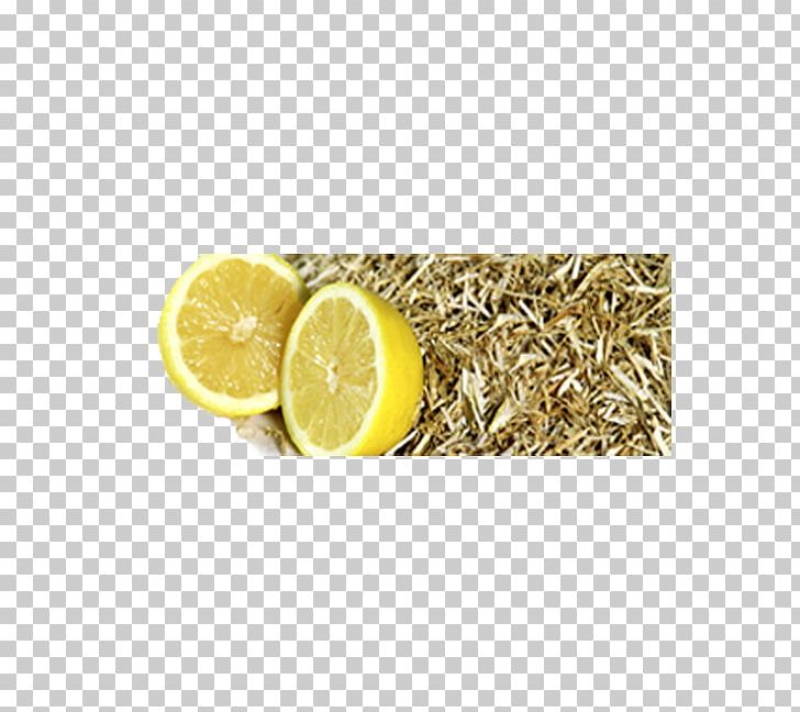 Citronella Oil Lemon Sweet Itch Horse Essential Oil PNG, Clipart, Bedding, Citric Acid, Citronella, Citronella Oil, Citrus Free PNG Download