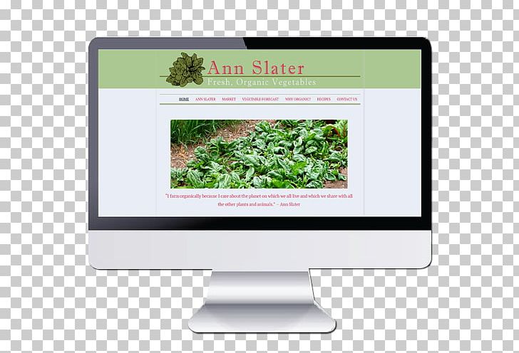 Multimedia Brand PNG, Clipart, Brand, Grass, Multimedia, Online Presence Management, Plant Free PNG Download