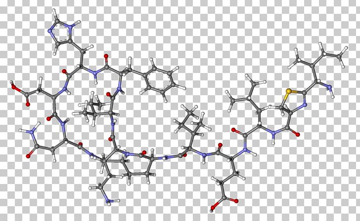 Bacitracin Peptidoglycan Lucio's Phenomenon Bacteria Antibiotics PNG, Clipart, Angle, Antibiotics, Bacillus, Bacillus Subtilis, Bacitracin Free PNG Download