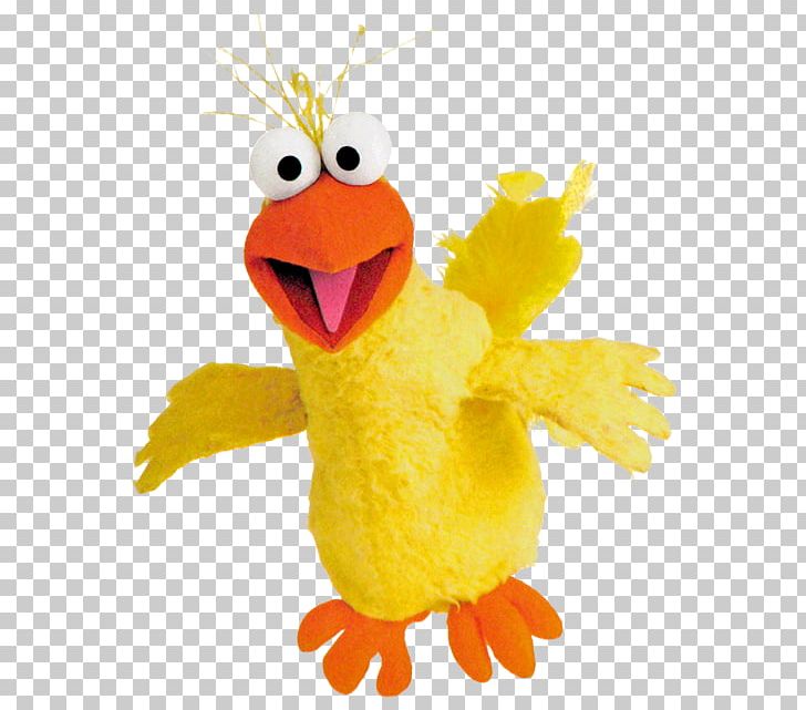 Big Bird Cookie Monster Mr. Snuffleupagus Zoe PNG, Clipart, Animals, Beak, Big Bird, Bird, Chicken Free PNG Download