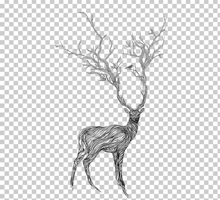Deer Drawing Art Painting PNG, Clipart, Animals, Antler, Art, Black And White, Blue Free PNG Download