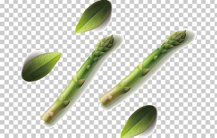 Bamboo Shoot Euclidean PNG, Clipart, Asparagus, Bamboo, Bamboo Border, Bamboo Frame, Bamboo Leaf Free PNG Download