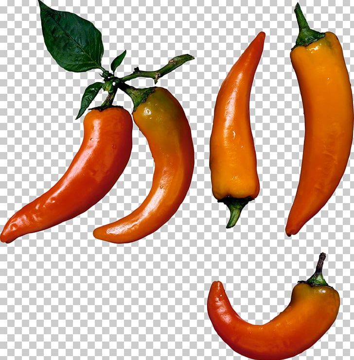 Bell Pepper Nachos Chili Pepper Potato Chip PNG, Clipart, Bell Pepper, Bell Peppers And Chili Peppers, Birds Eye Chili, Cayenne Pepper, Chili Pepper Free PNG Download