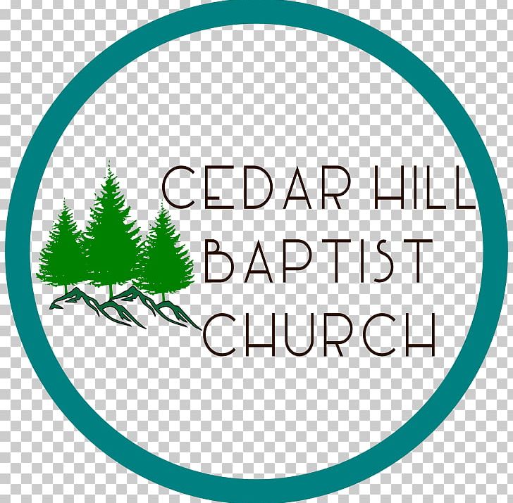 Cedar Hill Baptist Church Church Service Baptists Sunday School PNG, Clipart, Area, Baptists, Brand, Child, Church Free PNG Download