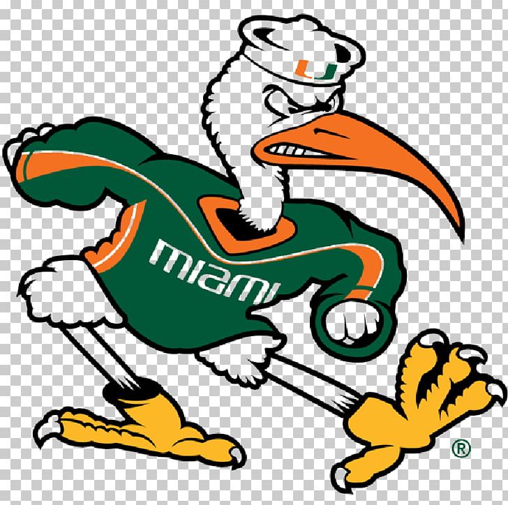 University Of Miami Miami Hurricanes Football Miami Hurricanes Baseball Sebastian The Ibis Miami Hurricanes Men's Basketball PNG, Clipart,  Free PNG Download