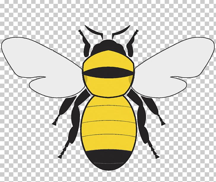 Bumblebee PNG, Clipart, Arthropod, Artwork, Bee, Blog, Bumble Free PNG Download