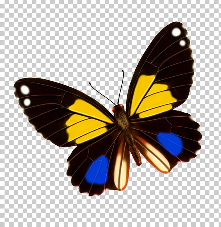 Monarch Butterfly Yellow Blue PNG, Clipart, Arthropod, Blue, Blue Butterfly, Brush Footed Butterfly, Butter Free PNG Download