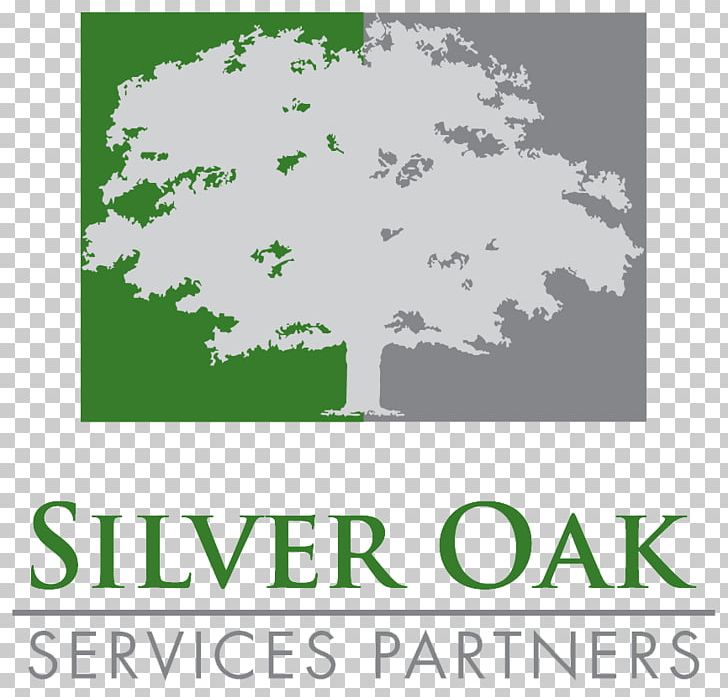 Silver Oak Services Partners LLC Forum Capital Partners Partnership Private Equity Firm PNG, Clipart, Area, Branch, Business, Company, Finance Free PNG Download