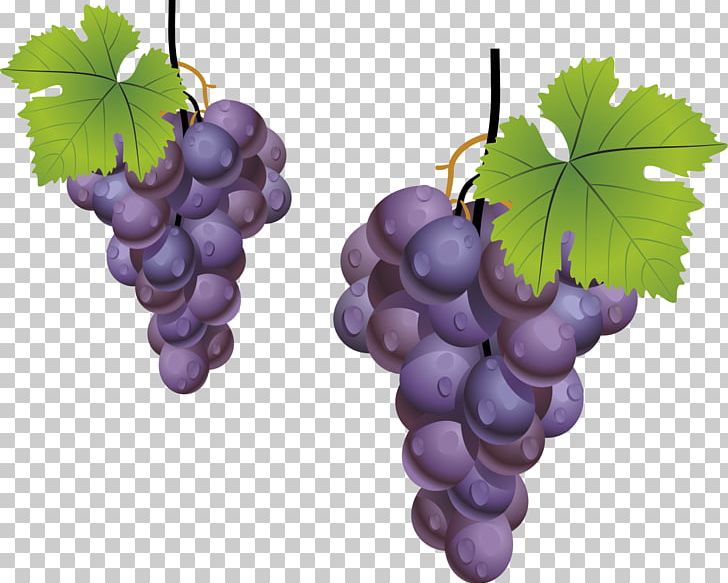 Grape Leaves Kyoho Fruit PNG, Clipart, Apple Fruit, Auglis, Download, Encapsulated Postscript, Flowering Plant Free PNG Download