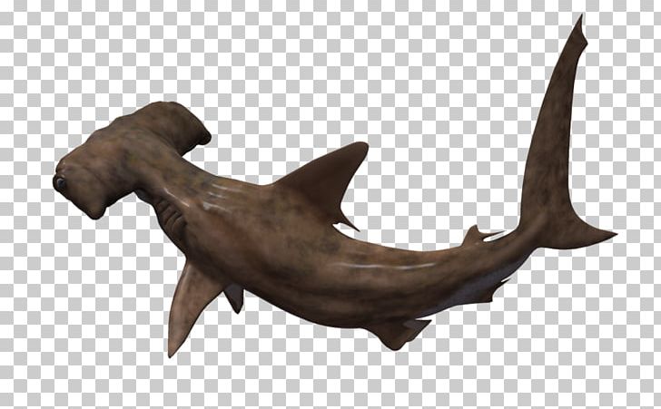 Hammerhead Shark Animation 3D Computer Graphics PNG, Clipart, 3d Computer Graphics, 3d Modeling, Animals, Animation, Antler Free PNG Download