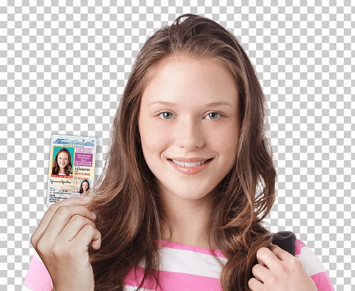 Learner's Permit Driving Driver's License Driver's Education PNG, Clipart,  Free PNG Download