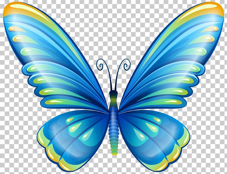 Butterfly PNG, Clipart, Animal, Blue Butterfly, Brush Footed Butterfly, Butterflies, Butterflies And Moths Free PNG Download