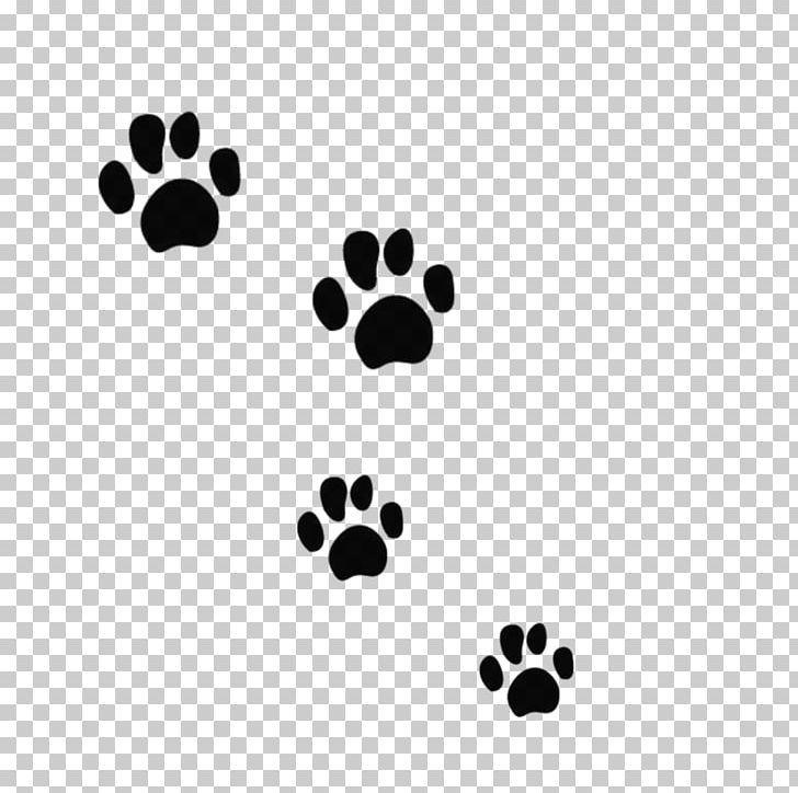 Cat Dog Tiger Bear Felidae PNG, Clipart, Animal, Animals, Background Black, Bear, Bear Claw Free PNG Download