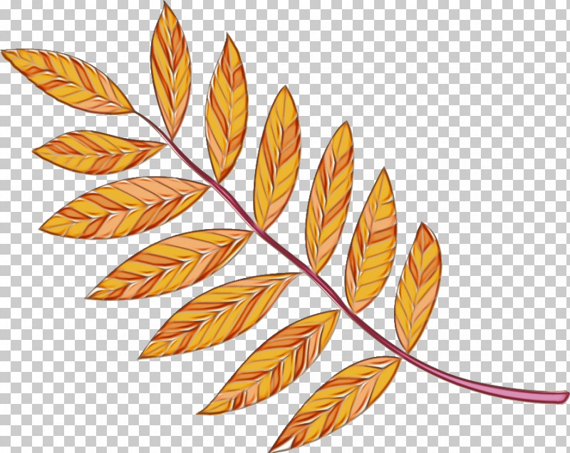 Leaf M-tree Line Flower Tree PNG, Clipart, Biology, Flower, Leaf, Line, Mtree Free PNG Download