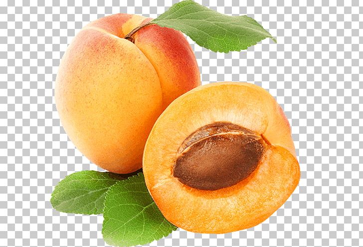 Apricot Fruit PNG, Clipart, Apricot, Diet Food, Dried Apricot, Food ...