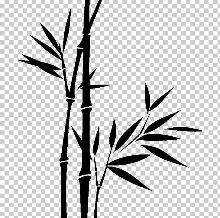 Bamboo Drawing PNG, Clipart, Available, Bamboo, Bamboo Floor, Black And White, Branch Free PNG Download