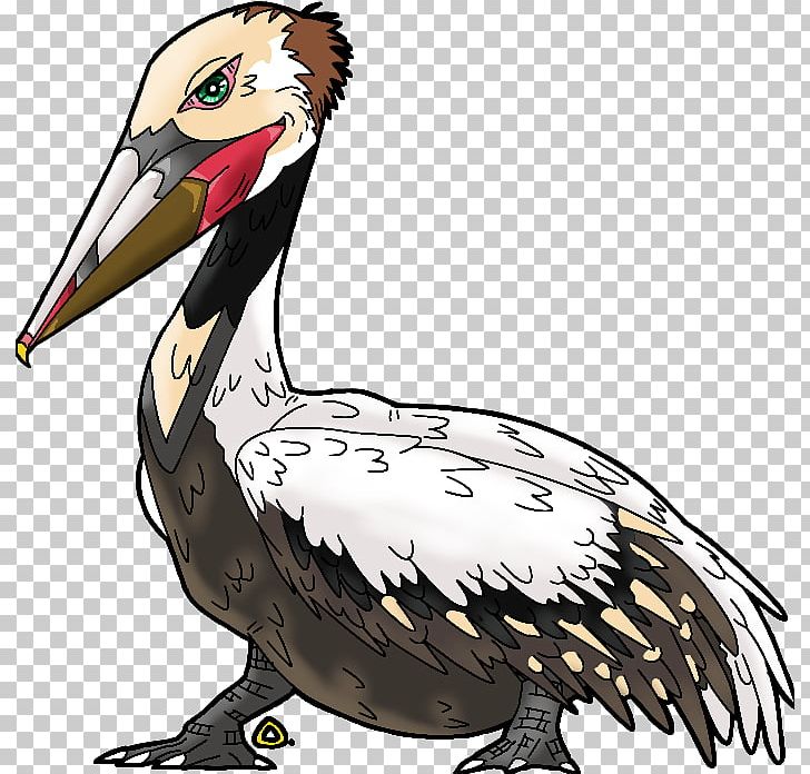 Beak Chicken Goose Cygnini PNG, Clipart, Anatidae, Animals, Artwork, Beak, Bird Free PNG Download