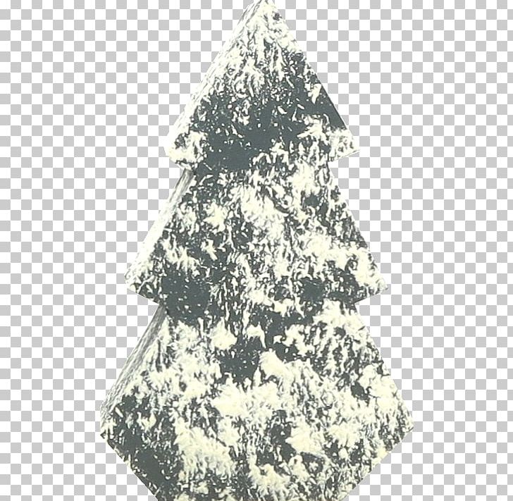 Christmas Tree Pine Family PNG, Clipart, Christmas, Christmas Decoration, Christmas Tree, Pine, Pine Family Free PNG Download