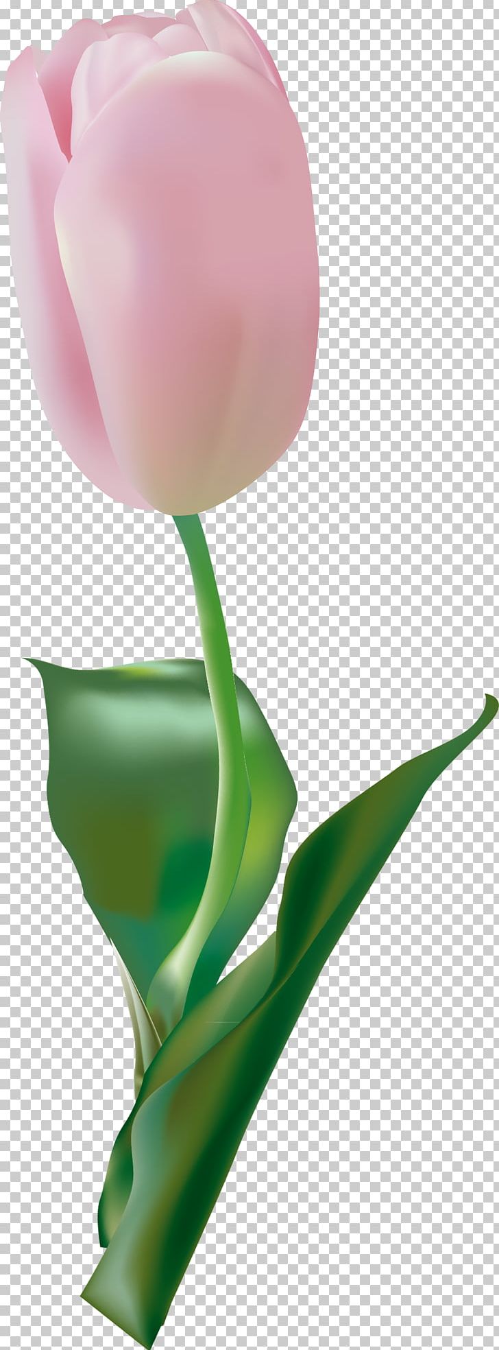 Cut Flowers Tulip PNG, Clipart, Cut Flowers, Desktop Wallpaper, Easter, Floral Design, Flower Free PNG Download