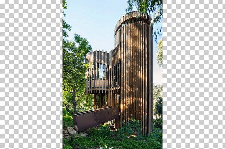 Malan Vorster Architecture Interior Design Tree House Interior Design Services Bedroom PNG, Clipart,  Free PNG Download