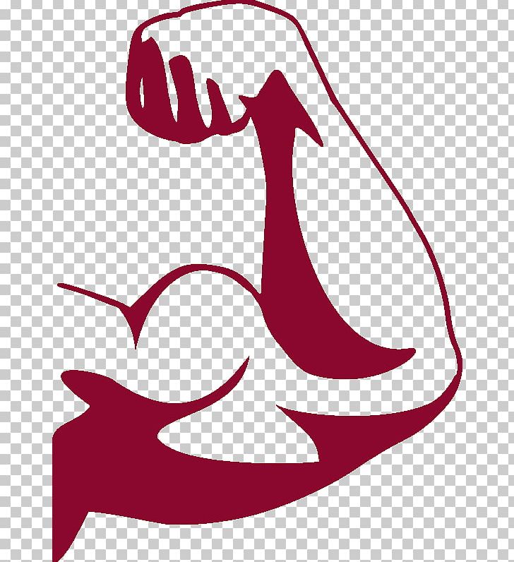 Muscle Arms Muscle Arms PNG, Clipart, Area, Arm, Art, Artwork, Beak Free PNG Download