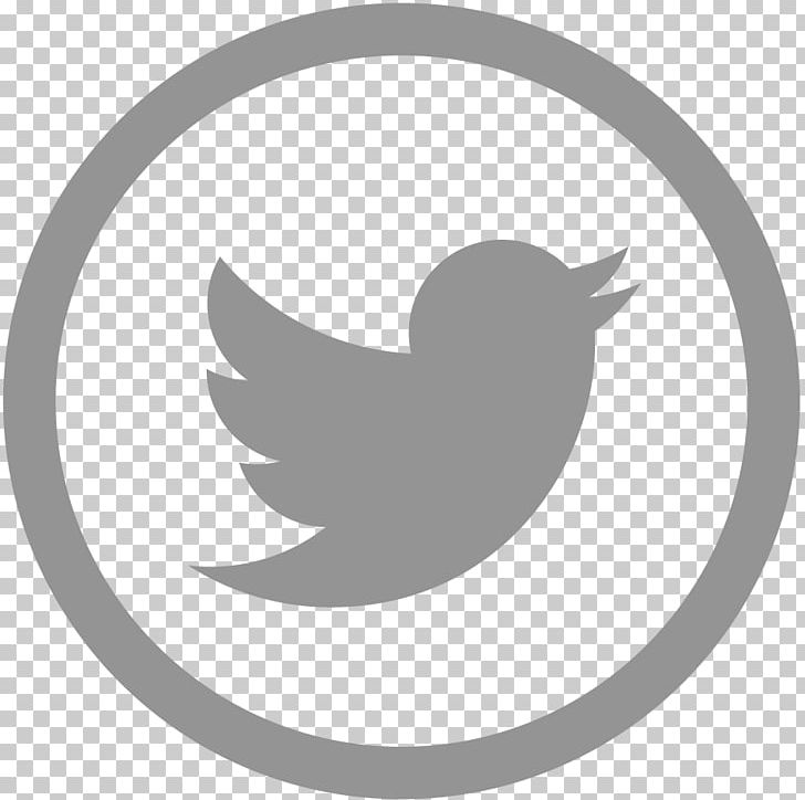 Social Media United States Twitter Instagram Application Programming Interface PNG, Clipart, Application Programming Interface, Beak, Bird, Black And White, Gab Free PNG Download