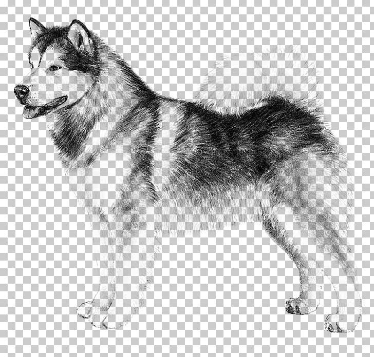 Alaskan Malamute Siberian Husky Alaskan Klee Kai Alaskan Husky Puppy PNG, Clipart, Alaskan, Animals, Carnivoran, Companion Dog, Dog Breed Free PNG Download