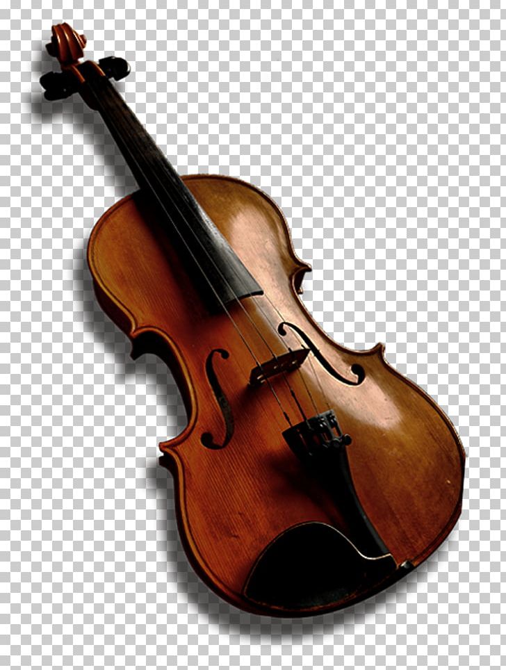 Bass Violin Viola Violone Double Bass PNG, Clipart, Bass Violin, Bowed String Instrument, Cello, Double Bass, Download Free PNG Download