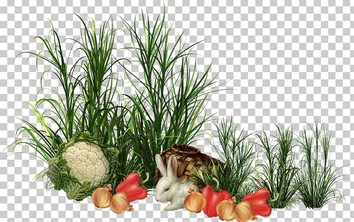 Vegetable Flowerpot PNG, Clipart, Animation, Commodity, Flowerpot, Food, Food Drinks Free PNG Download