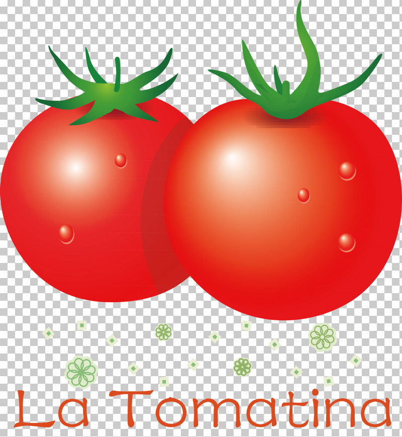 La Tomatina Tomato Throwing Festival PNG, Clipart, Bush Tomato, Datterino Tomato, Fruit, Grapefruit, La Tomatina Free PNG Download