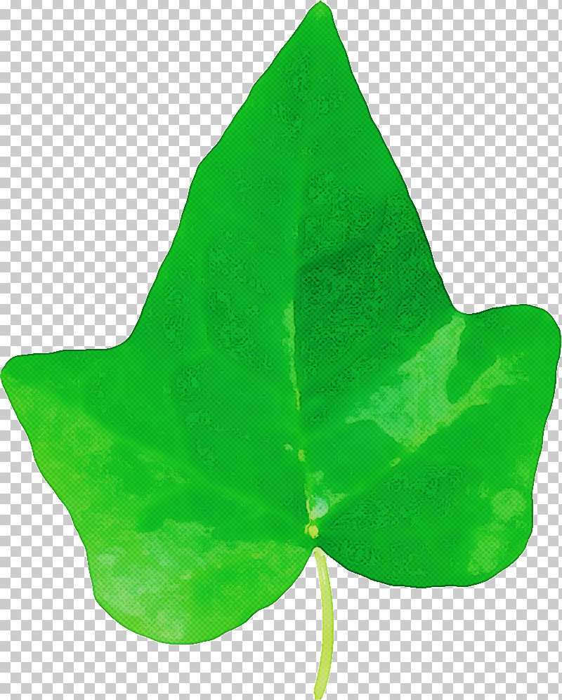 Leaf Green Plant Structure Plants Science PNG, Clipart, Biology, Green, Leaf, Plants, Plant Structure Free PNG Download