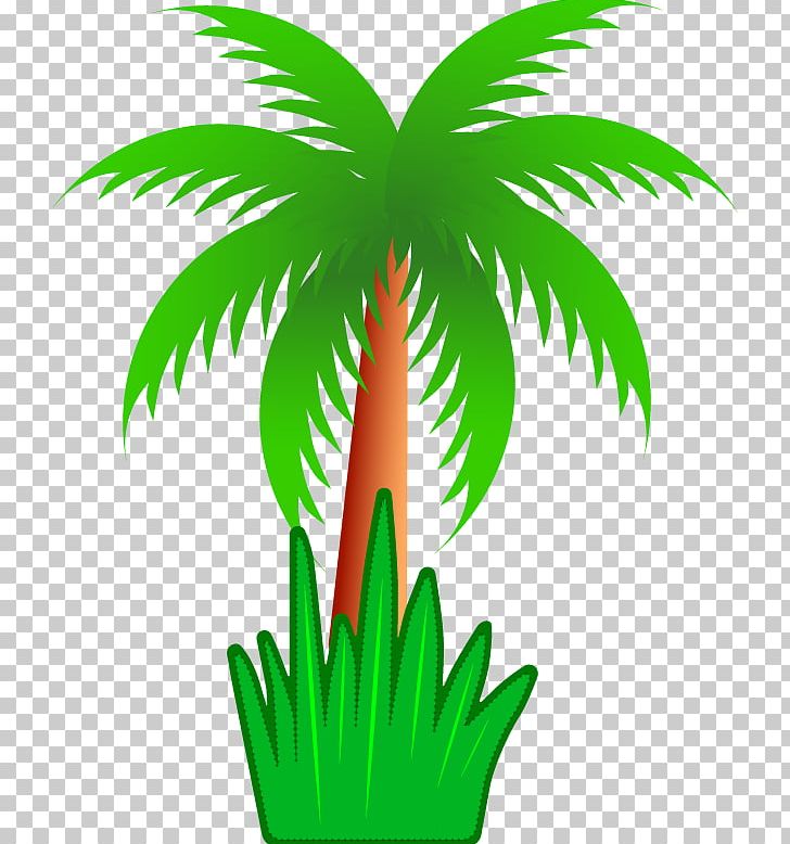 Arecaceae Tree Coconut PNG, Clipart, Arecales, Autumn Tree, Cartoon, Christmas Tree, Date Palm Free PNG Download