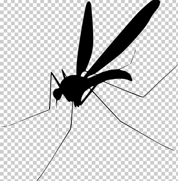 Mosquito Control Computer Icons PNG, Clipart, Angle, Arthropod, Black And White, Can Stock Photo, Computer Icons Free PNG Download