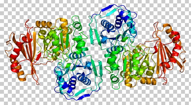 PGM1 Enzyme Gene Phosphoglucomutase Protein PNG, Clipart, Art, Bacteria, C 47, Enzyme, Gene Free PNG Download