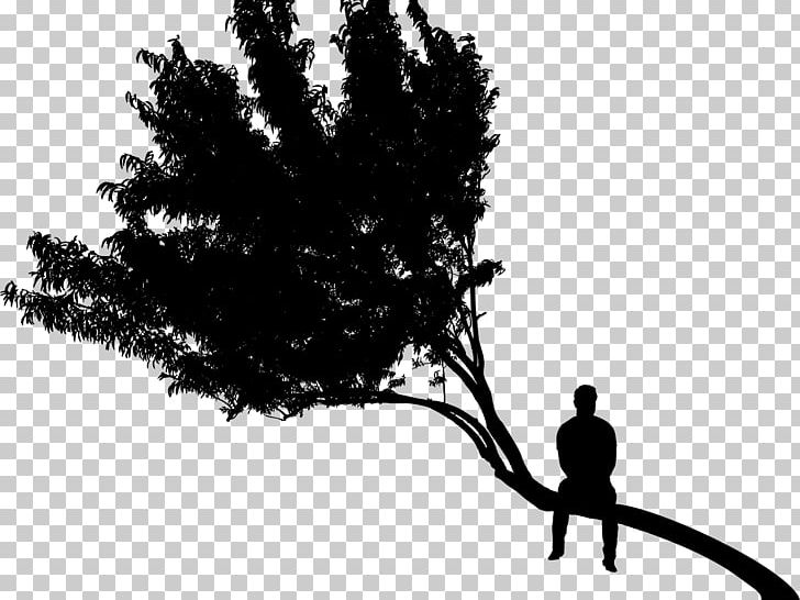 Silhouette Tree PNG, Clipart, Animals, Black And White, Branch, Drawing, Leaf Free PNG Download