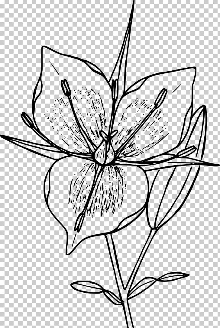 Floral Design Line Art PNG, Clipart, Artwork, Black And White, Branch, Computer Icons, Cut Flowers Free PNG Download