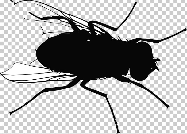 Fly Mosquito Flight PNG, Clipart, City Silhouette, Happy Birthday Vector Images, Insects, Man Silhouette, Monochrome Free PNG Download