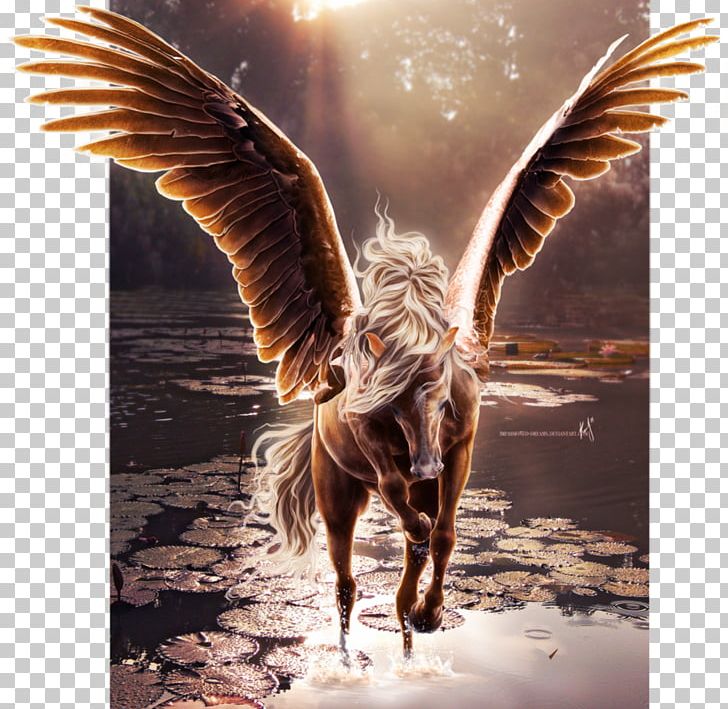 Flying Horses Wing Pegasus Unicorn PNG, Clipart, Angel, Animal, Animals, Beak, Centaur Free PNG Download
