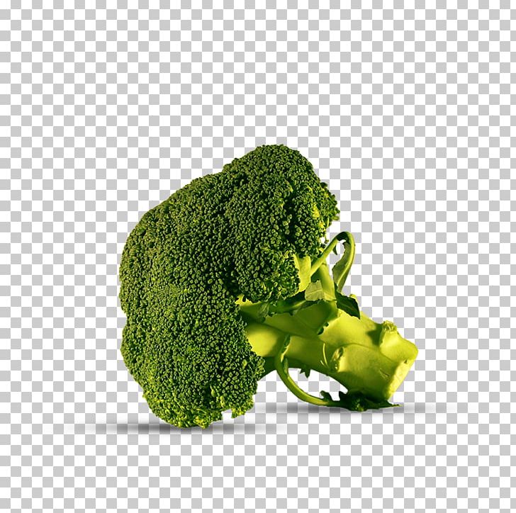 Broccoli Vegetable Brassica Oleracea Var. Italica Iceberg Lettuce Timon & Pumbaa Les Globe-Trotters PNG, Clipart, Broccoli, Food, Gram, Iceberg Lettuce, Lactuca Free PNG Download
